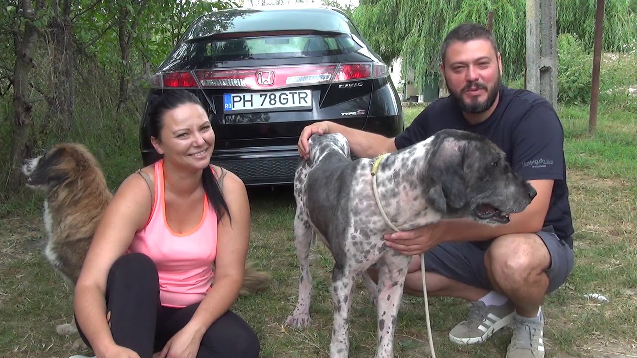 L AM TUNS PE NILS ( episodul 20 )