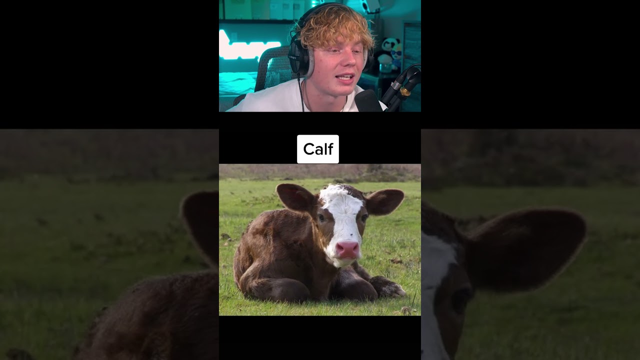 Nuclear MUTATED Animals! 😨