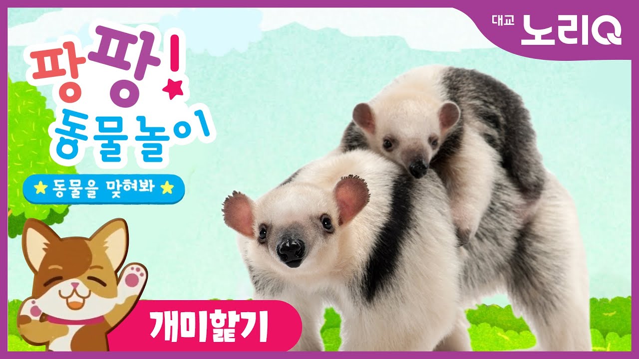 팡팡! 동물놀이💛ㅣ개미핥기 편ㅣ자연탐구ㅣ어린이 프로그램ㅣPangpang! Play with AnimalㅣAnt Eaterㅣ Kids Programㅣ대교 노리Q