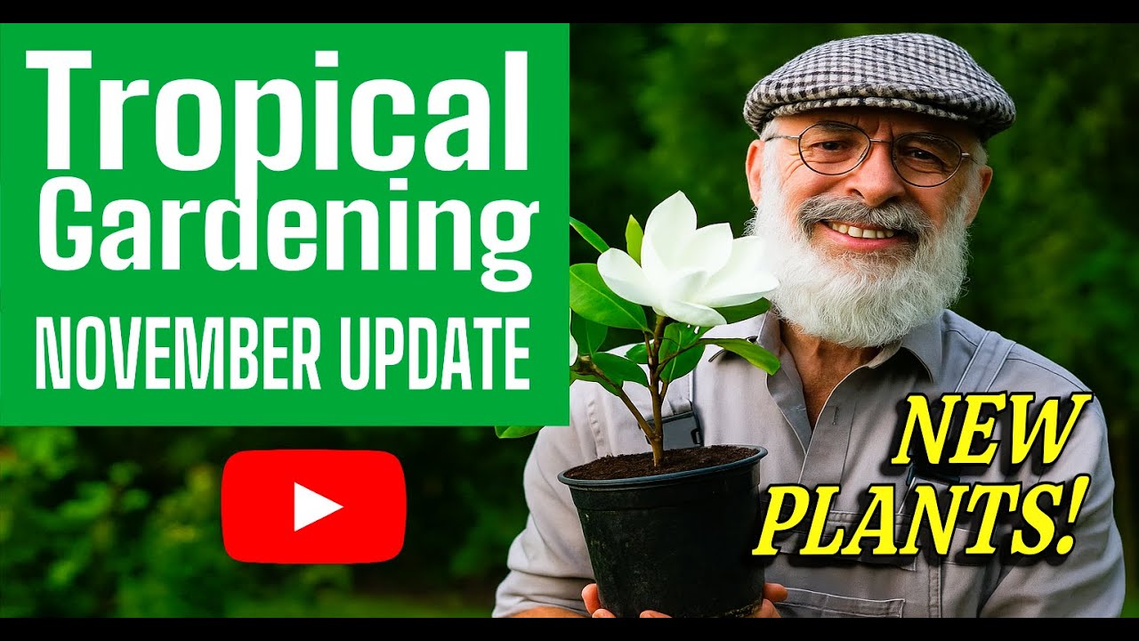 Tropical Gardening November update 2025