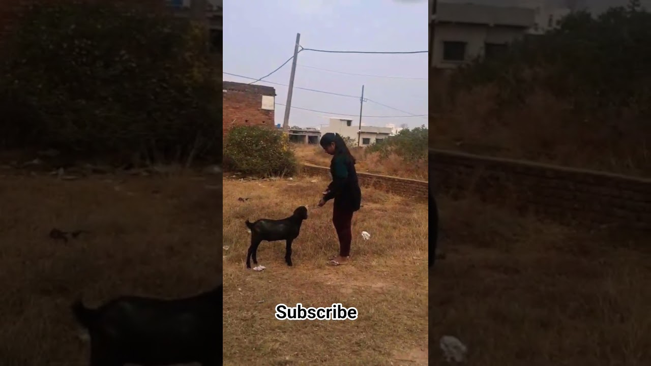 Mahalon Ne Chheen Liya | Bachpan Ka Pyaar Mera | Emotional Song Short