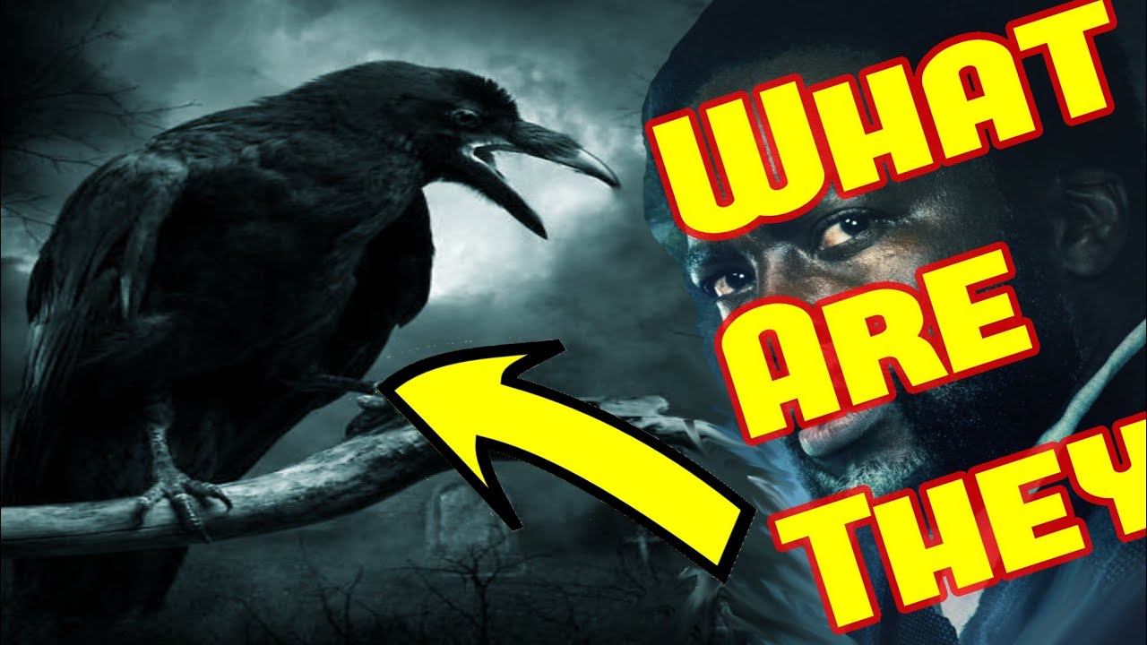 What Are The CROWS In the EPIX Tv Series FROM ??? Theory