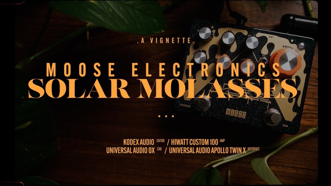 Lush Reverb, Unique Drone Features - Moose Electronics Solar Molasses Reverb | Vignette Demos