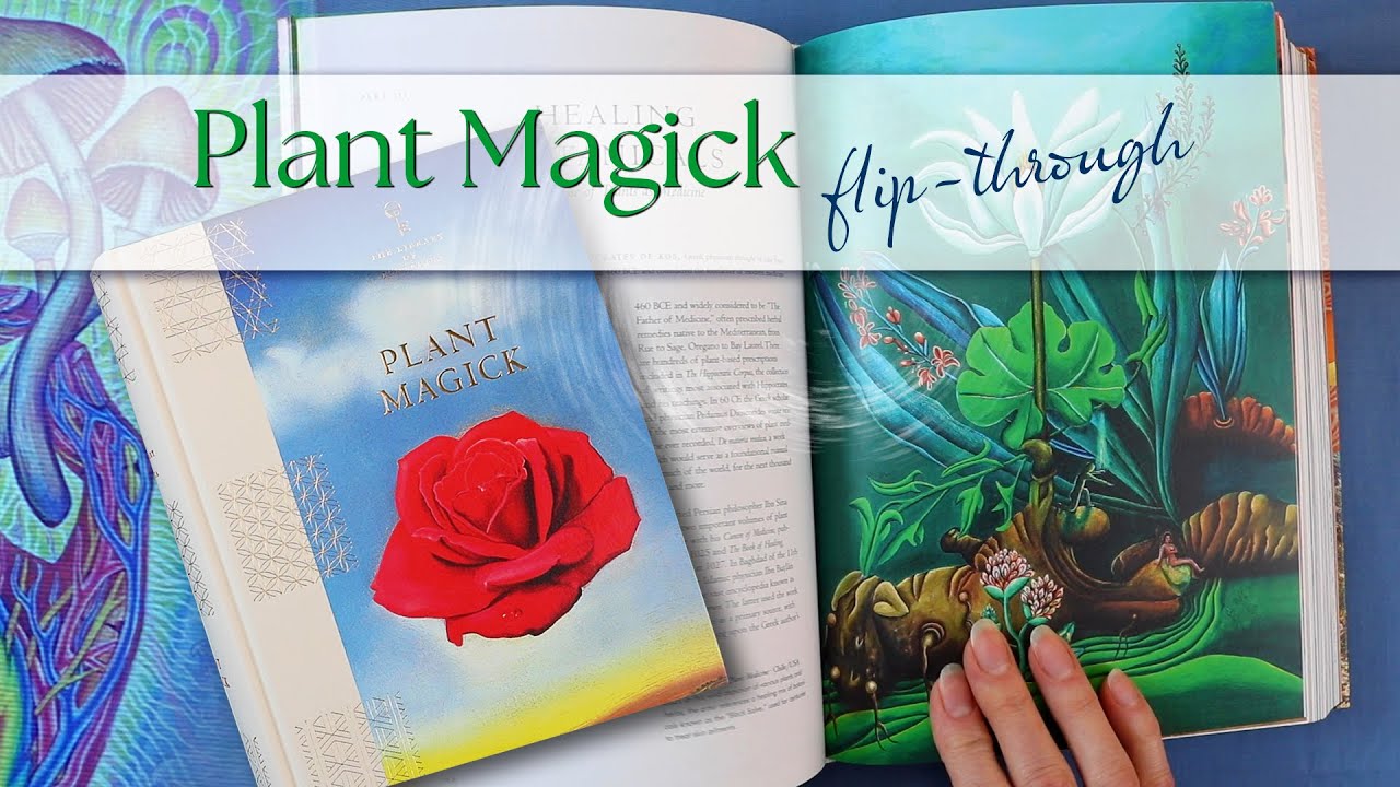 Plant Magick book flip-through | No talk | ASMR | The Library of Esoterica