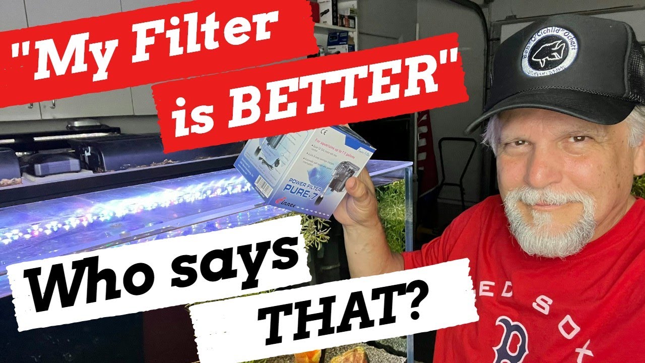 HOB [Finnex] vs SPONGE Filter *for a NANO Tank* [Which is Better?]