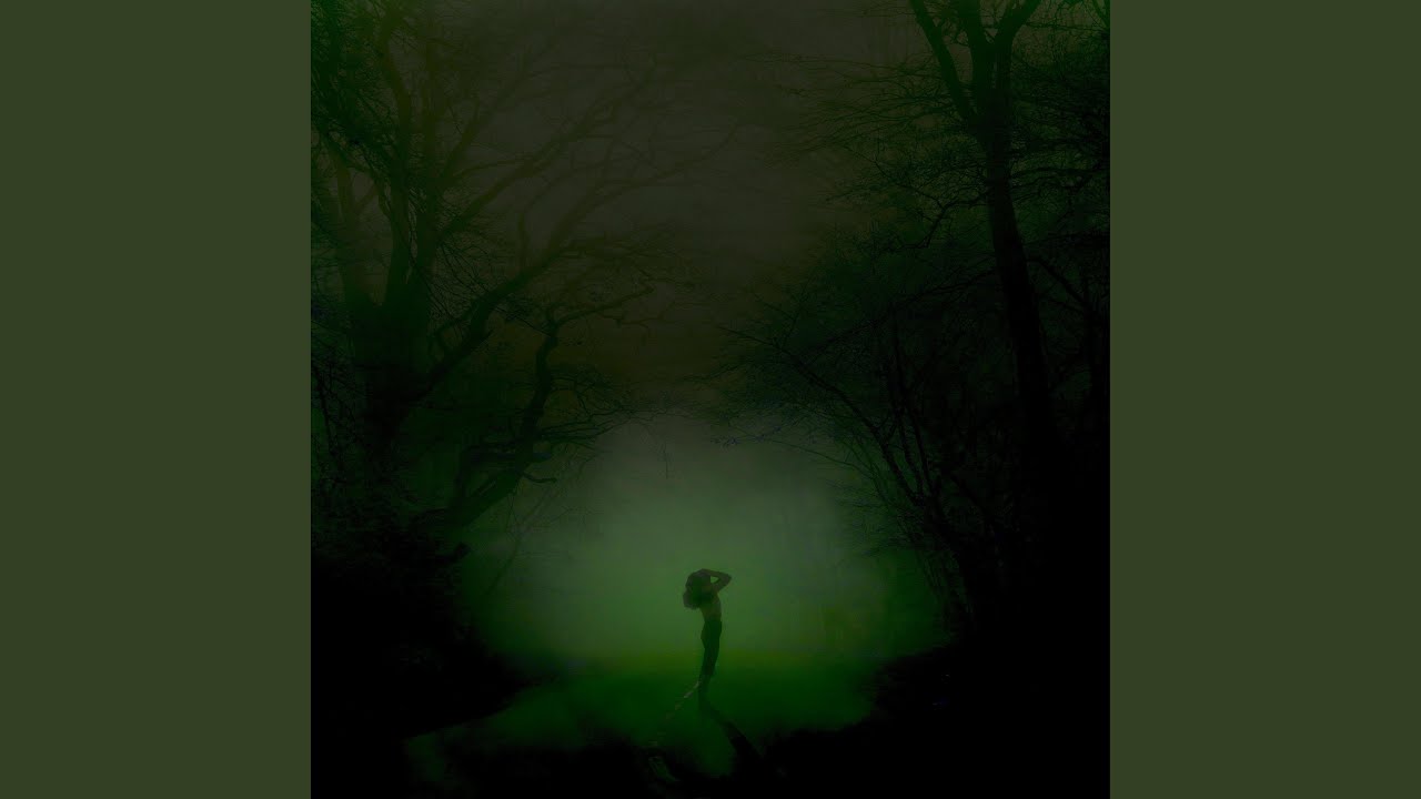 Hidden In The Mist (Second Take)