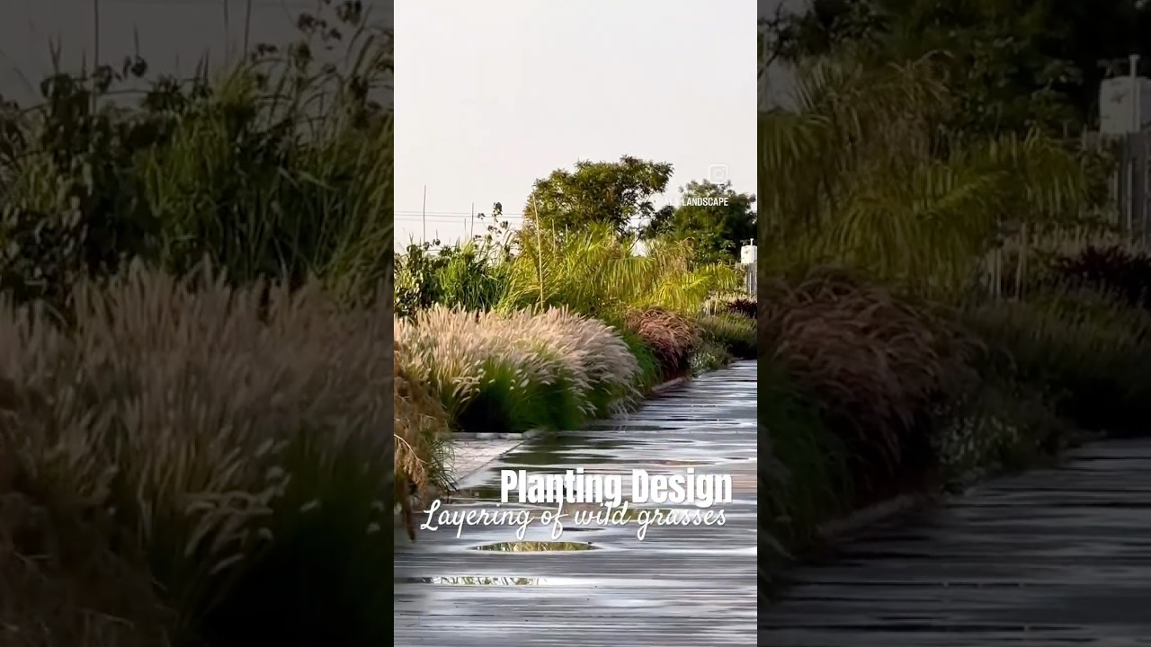 Wild Grass Layering in Landscape Design | Naturalistic Roadside Planting 