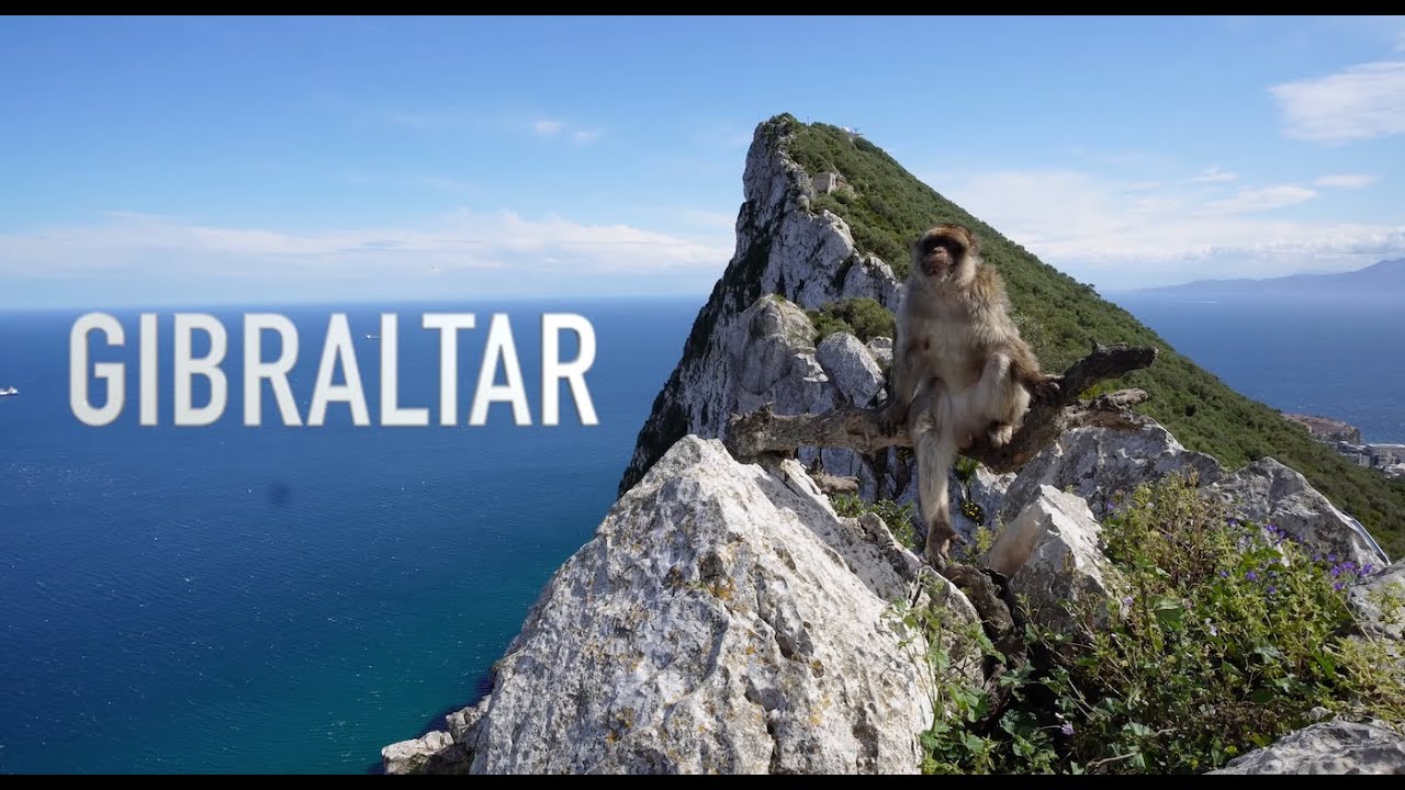 Gibraltar - podstawowe informacje. Autem czy autobusem ? ile kosztuje kolejka na skałę Gibraltarską?