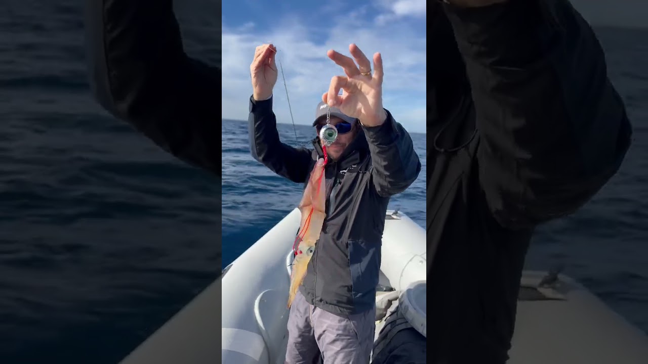 JLC Nautilus 2.0 live Kab #jlclures #raymarine #fishing #fish #angler #verticaljigging #slowpitch