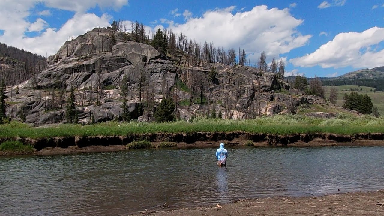 Fly Fishing SLOUGH CREEK in Yellowstone