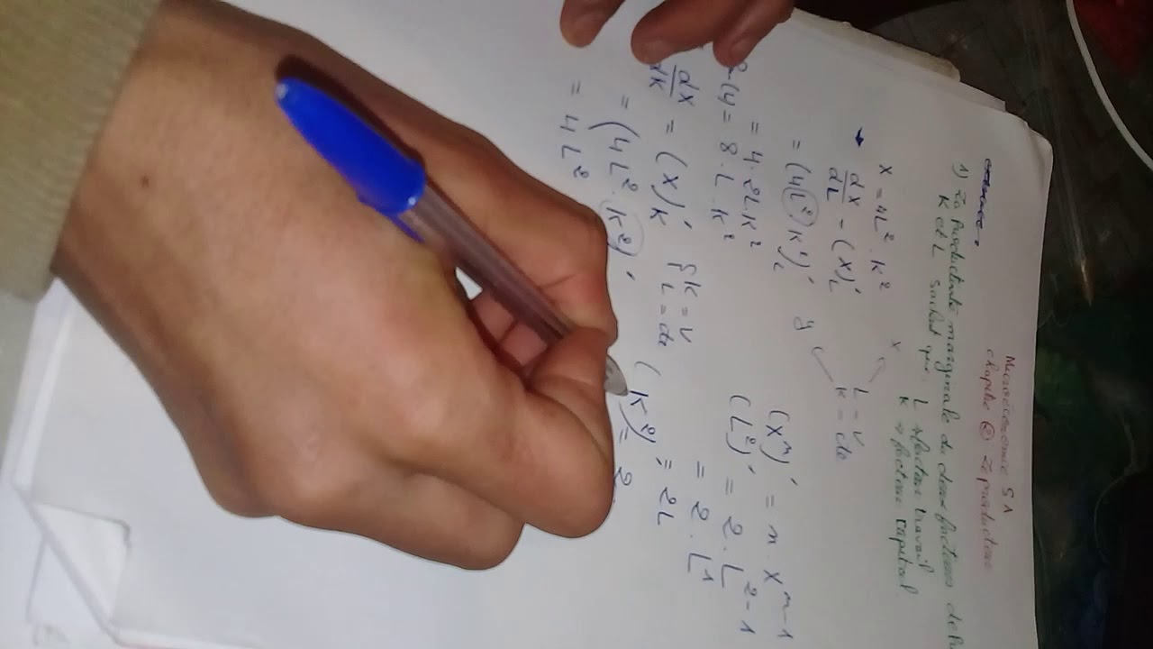 microeconomie producteur partie*1:la productivit&eacute; marginale du facteurs de production L et K