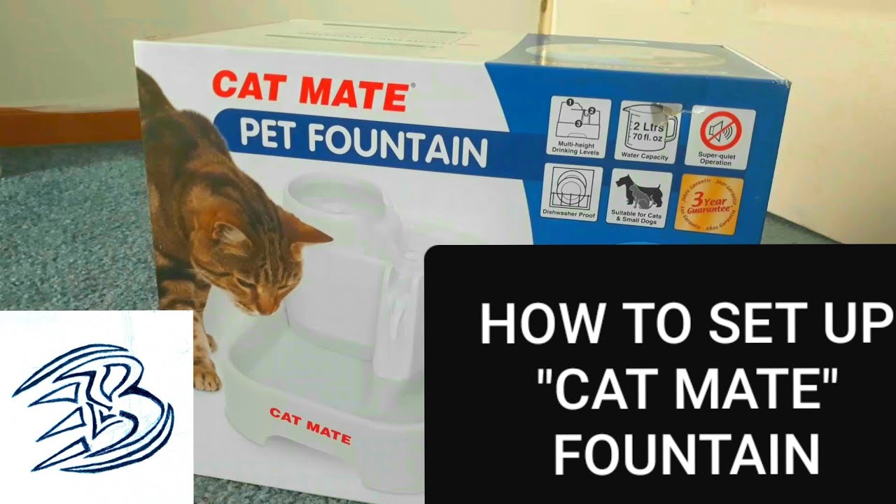 How To Set Up A Cat Mate Fountain. |GUIDE|