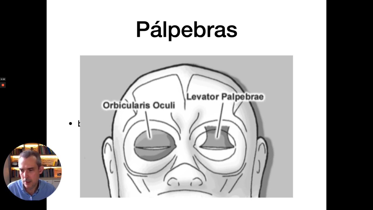 Aula Anatomia e fisiologia Ocular   Liga de Oftalmologia UFC