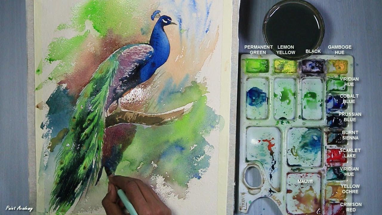 How to Paint A Peacock in Watercolor | step by step