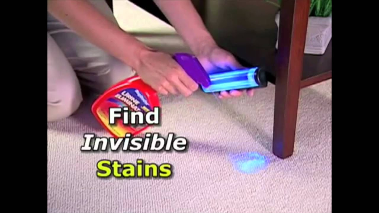 Rug Doctor Urine Eliminator - the Best Defense Against Pet Urine Odor