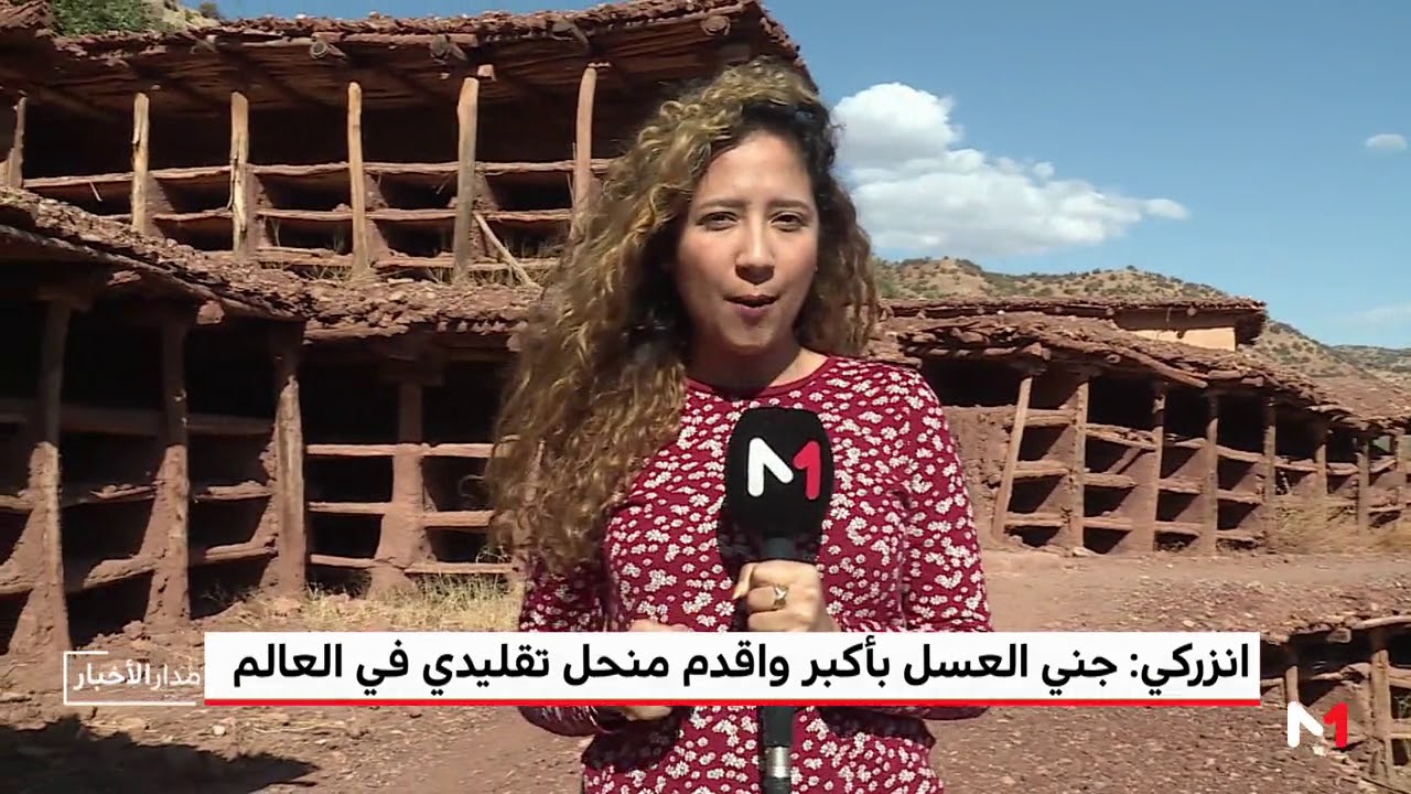 انزركي: جني العسل بأكبر و أقدم منحل تقليدي في العالم