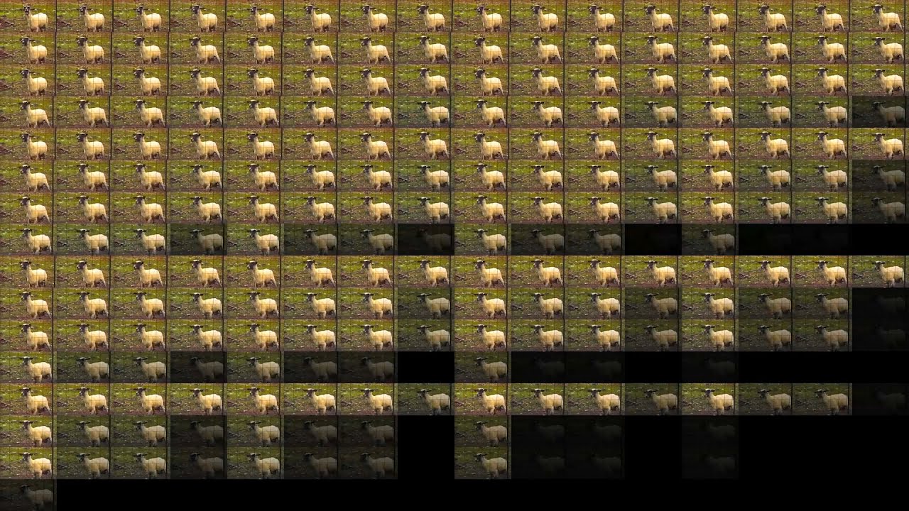 Screaming goat over 1 million times