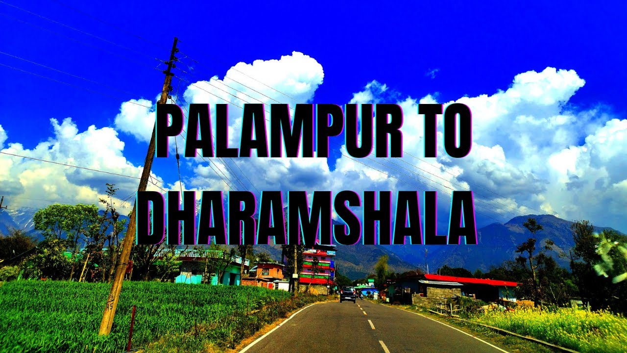 Palampur to Dharamshala , Himachal Pradesh March 2023 | Beautiful road trip