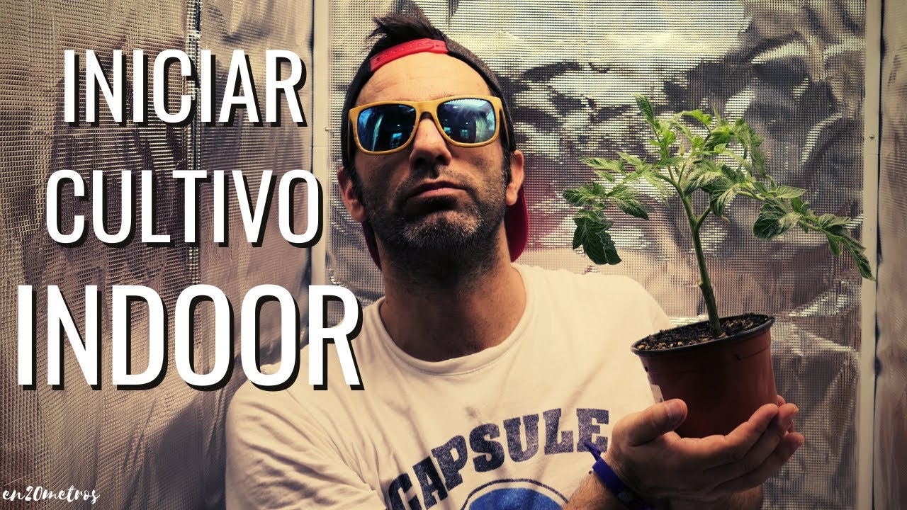 Cultivo en CARPA INDOOR desde cero: montaje, tipos de luz, REVIEW MARS HYDRO TS1000 || en20metros