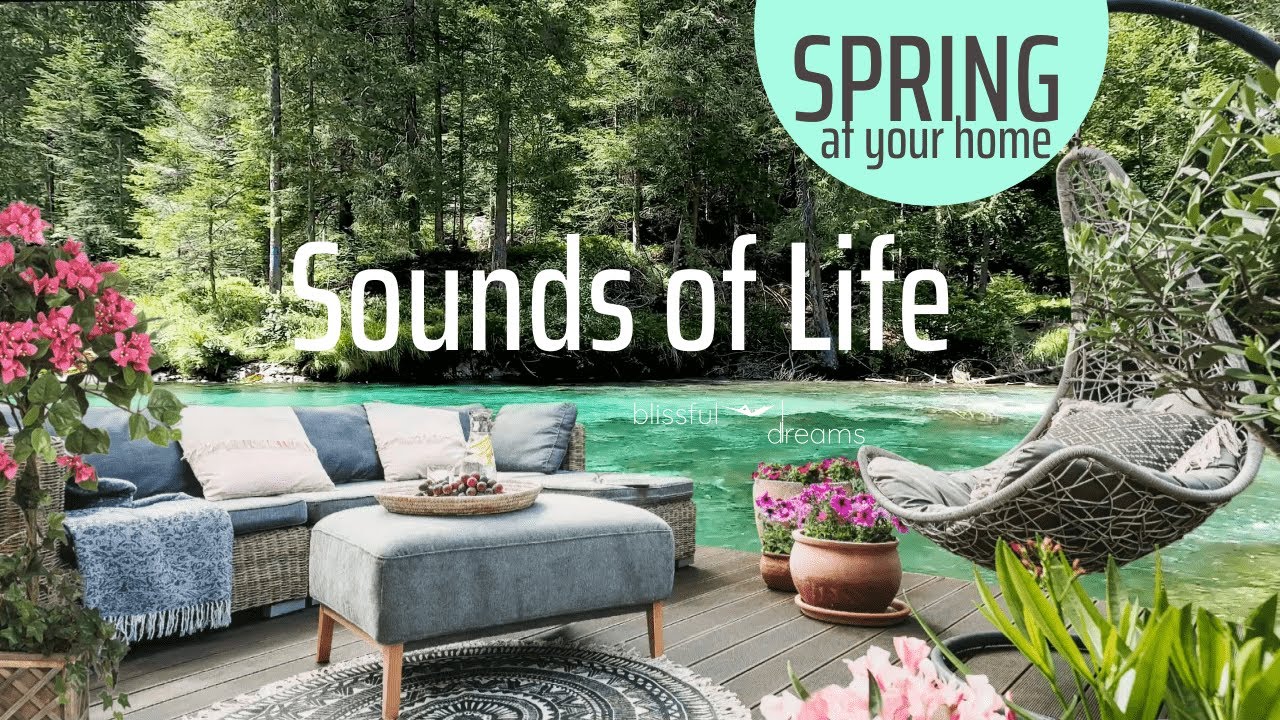 Spring Ambience (No Music) CALMING Nature Sounds with Birds Singing