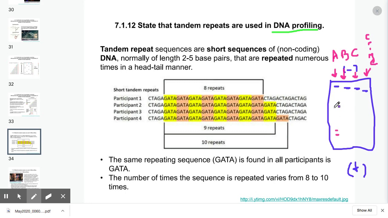 7.1.12 Tandem Repeats