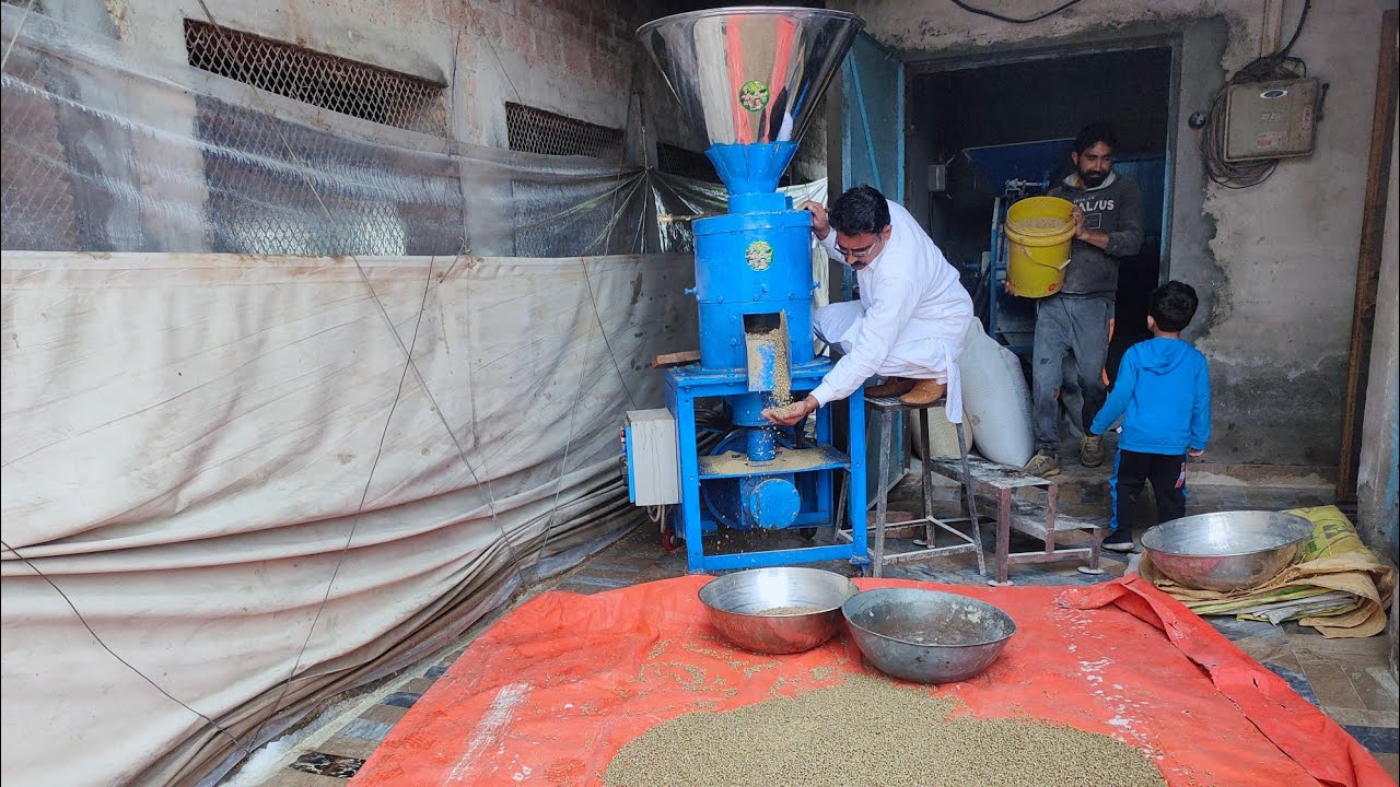 Desi hen feed making machine in Pakistan||desi hen feed farm in Pakistan||small feed making machine