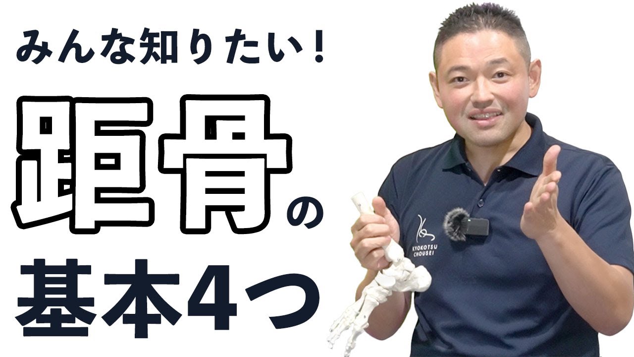 【距骨の基本①】距骨が分かる基本の４つ