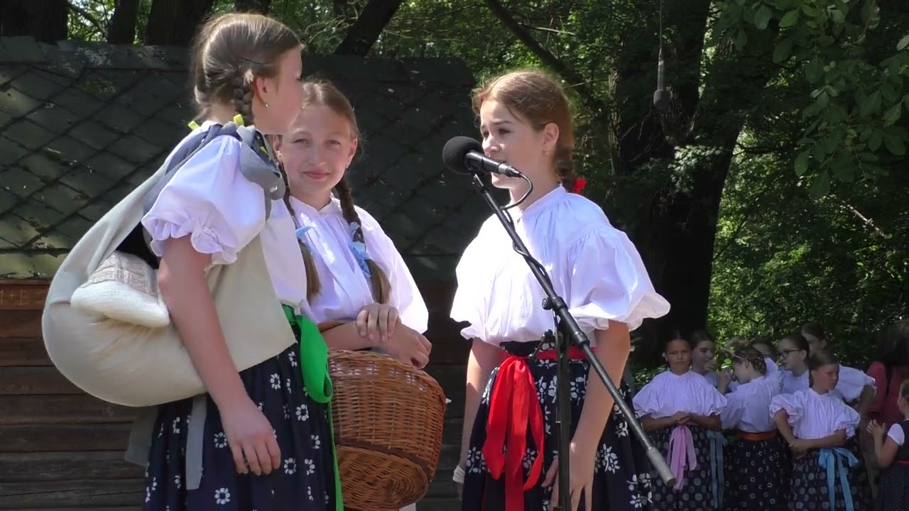 DFS Danájek ze Strážnice v programu 