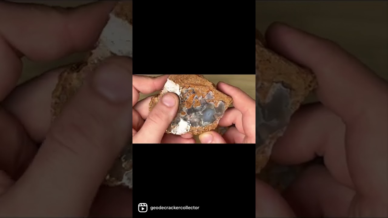 &ldquo;Playing with Poop!&rdquo; | Cutting Crap-olites! (Coprolites)