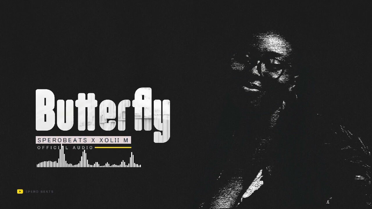 Butterfly 🦋 Spero beats ft Xoliii M 🇹🇿 x 🇿🇦