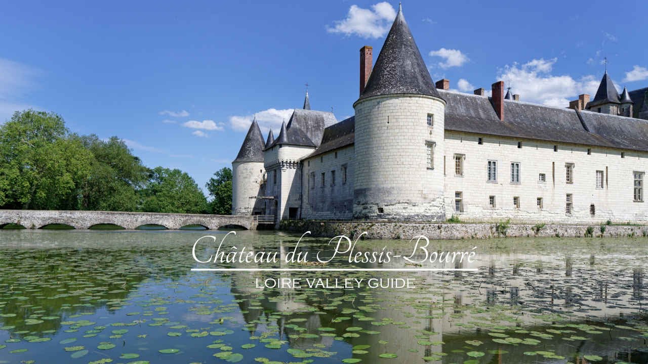 Château du Plessis-Bourré (4k)