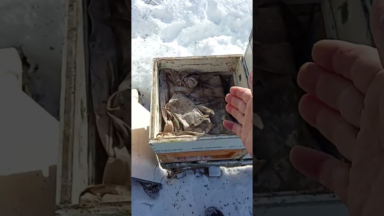 ОДНА РАМКА И НЮАНСЫ 22.02.26