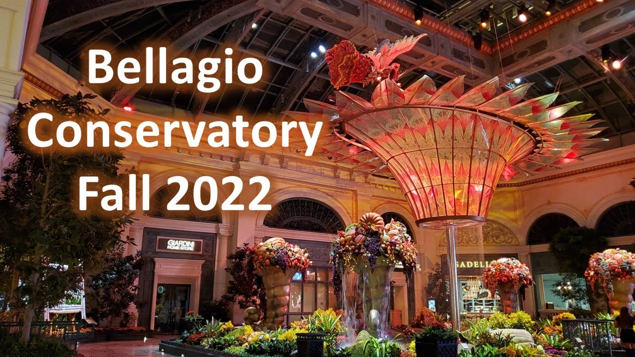 Bellagio Conservatory 2022 | Bellagio Garden Fall Display | Bellagio Las Vegas | Las Vegas 2022