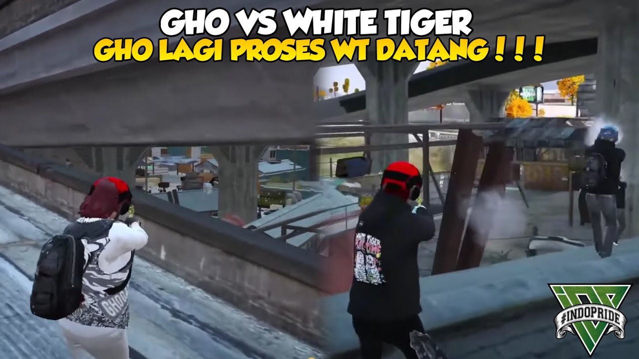 GHO LAGI PROSES WT DATANG!!! #GHOGANG #WTGG #INDOPRIDERP 