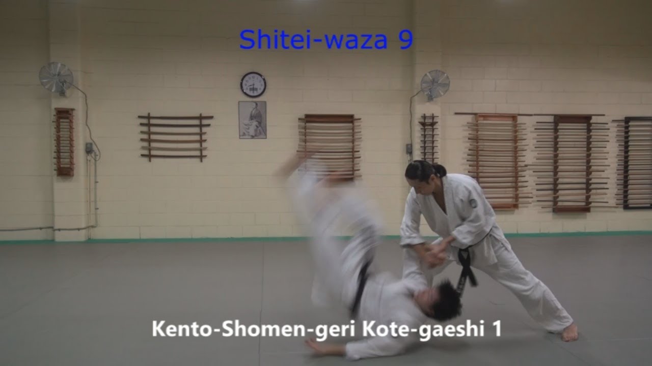yudan step shitei-waza 7-12/Fundamental techniques against punches and kicks