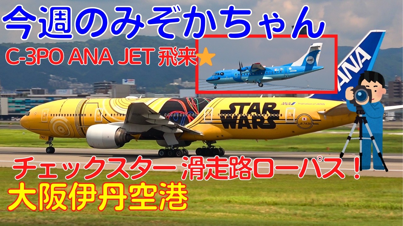 【大阪伊丹空港】今週のみぞかちゃん　チェックスター飛来！
