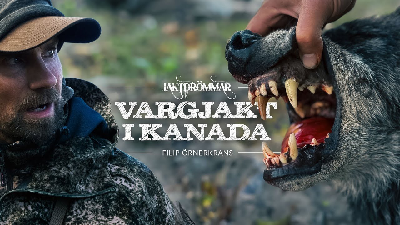 Vargjakt i Alberta, Kanada - Jaktdr&ouml;mmar med Filip &Ouml;rnerkrans | Avsnitt 4