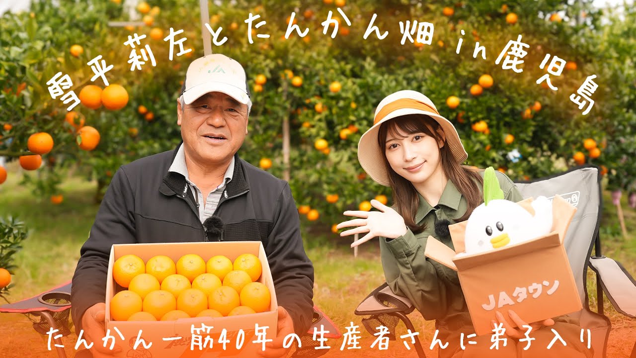雪平莉左が鹿児島へ！温暖な鹿児島だからこそできる甘~いたんかんを食べにいきました