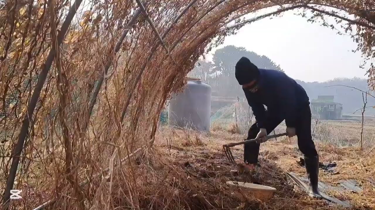 어설픈 2도5촌 생활 일부