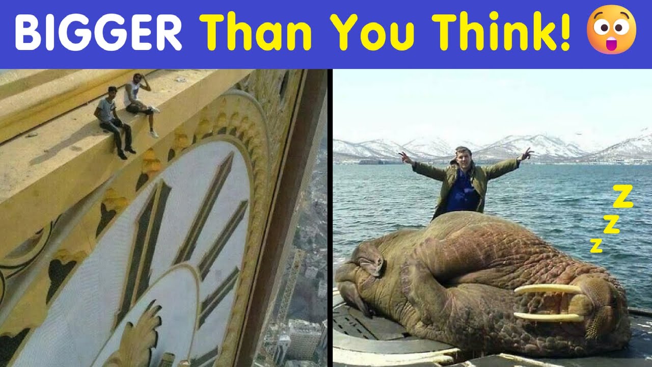 Fascinating Photos That Reveal The True Scale Of Things Next To Humans 🤯🌍 | Happy And Fun