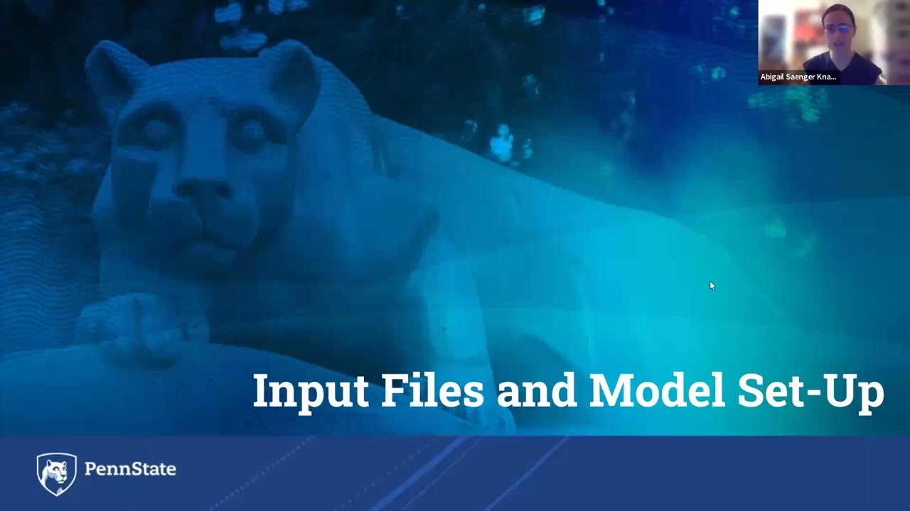 BioRT-HBV Silicate Weathering Video 2 Input Files and Model Set Up