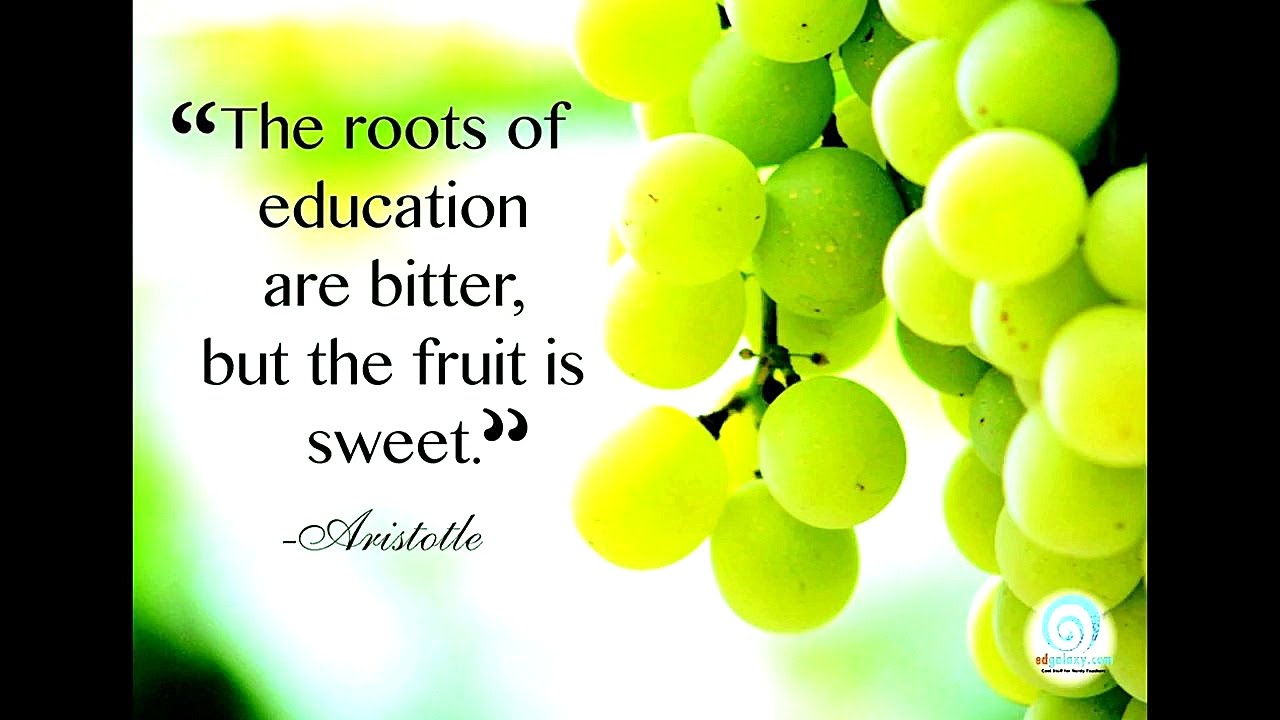 Education Quote Video