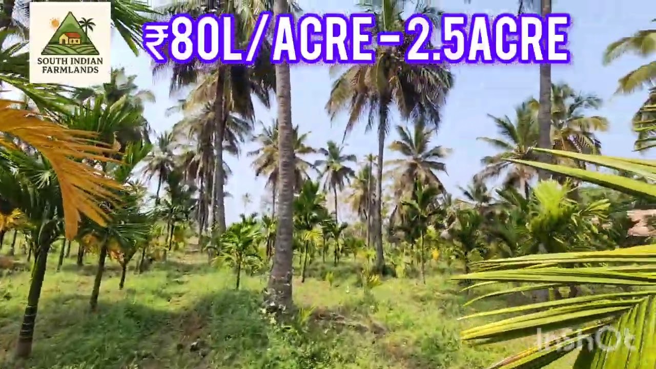 2.5 Acres of farmland for sale near Halaguru at 80L/Acrered Soil General ping on 8152943766  