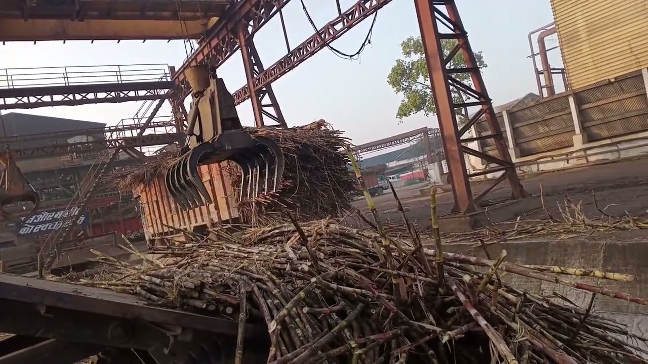 dhampur sugar mill video #dhampur sugar mil bijnor