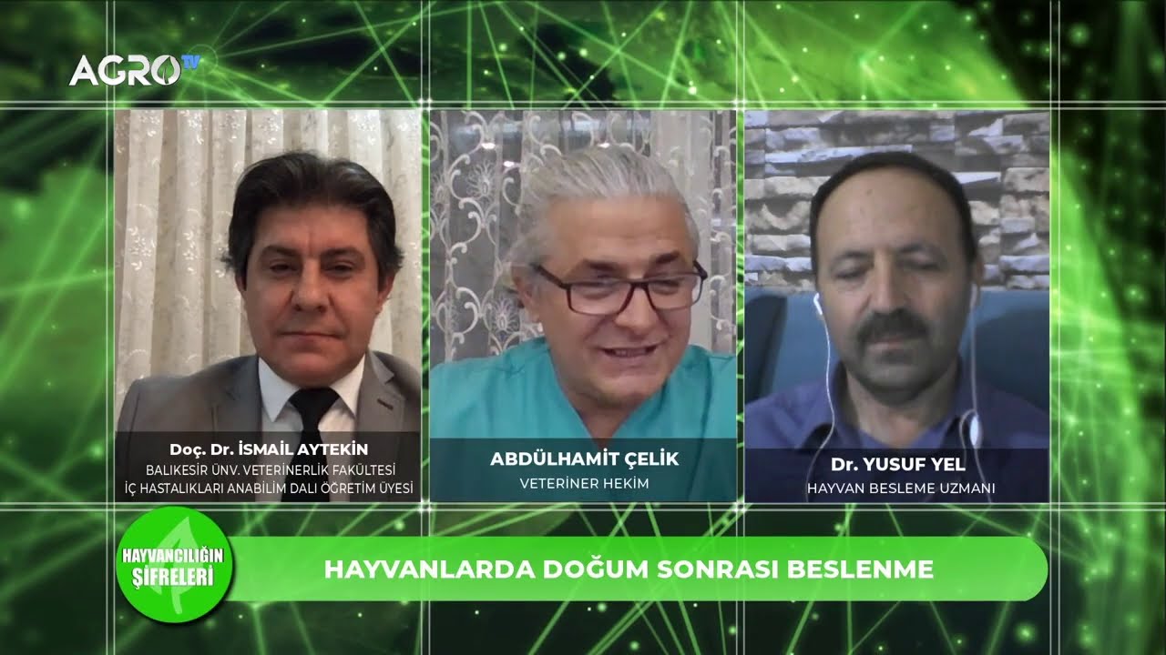 İNEKLERDE HİPOKALSEMİ (DOĞUM FELCİ), KETOZİS (ENERJİ EKSİKLİĞİ) VE MİDE D&Ouml;NMESİ