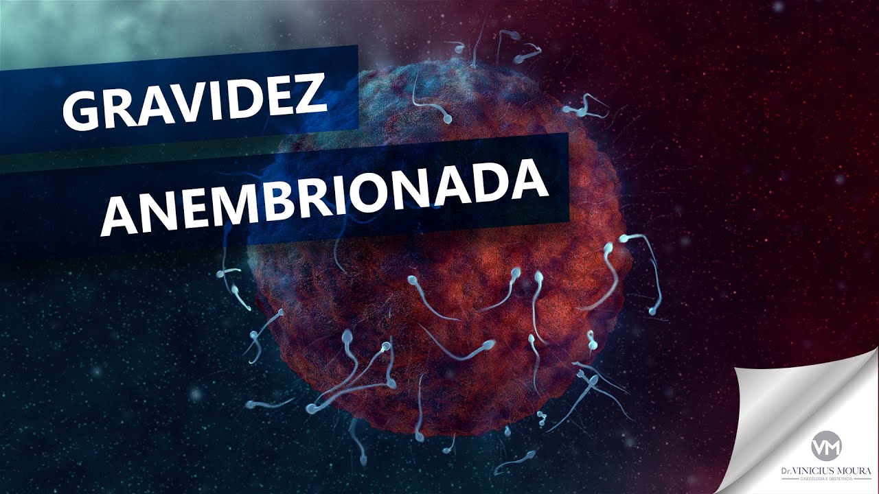 Quem tem gravidez anembrionária ou anembrionada pode engravidar novamente? (ovo cego)