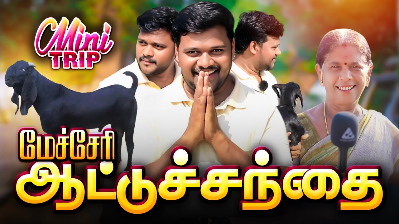 MECHERI GOAT🐐🐑 MARKET | மேச்சேரி ஆட்டு சந்தை |#veejayLifestyle #goatmarket #food #vlog #விவசாயம்