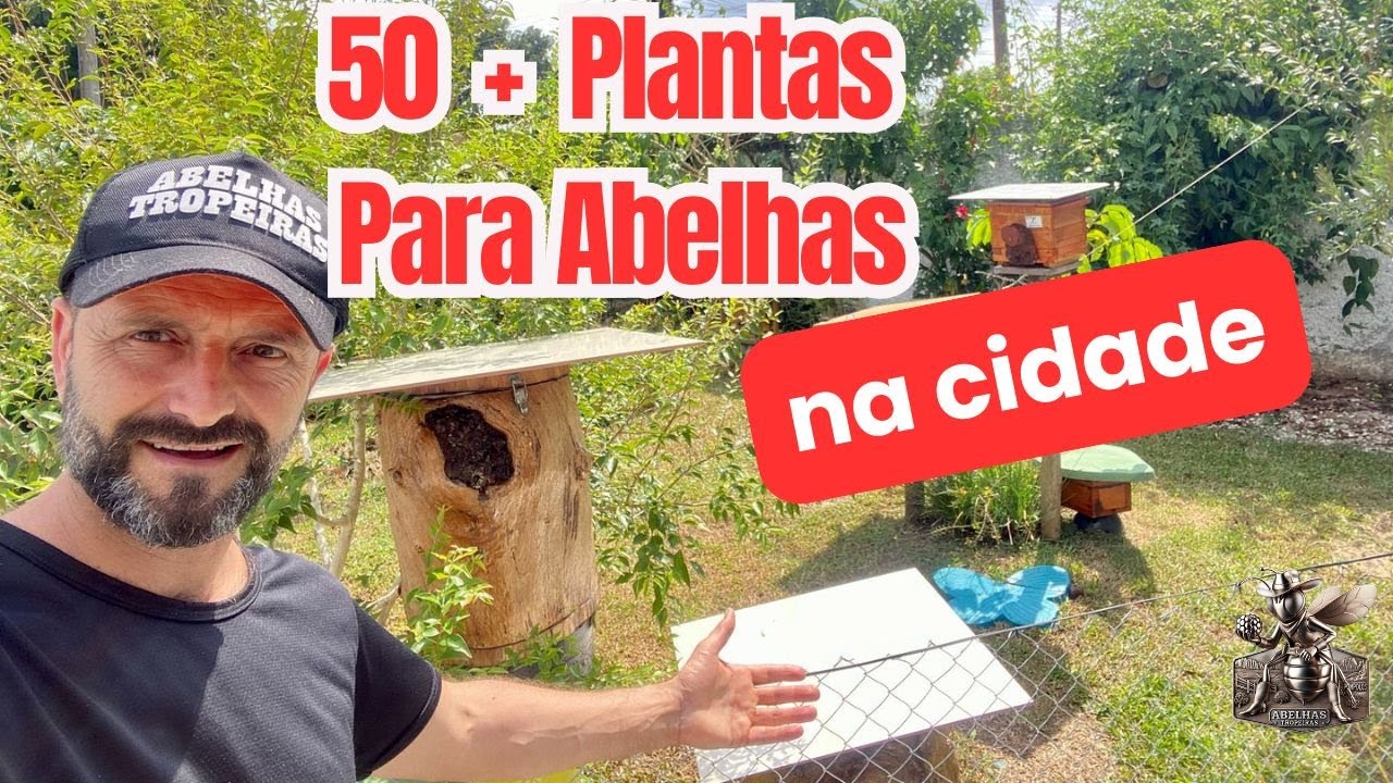 🌿🐝 Mais de 50 Plantas Para Abelhas – Tudo Isso na Cidade! Incrível! 🌸🌳