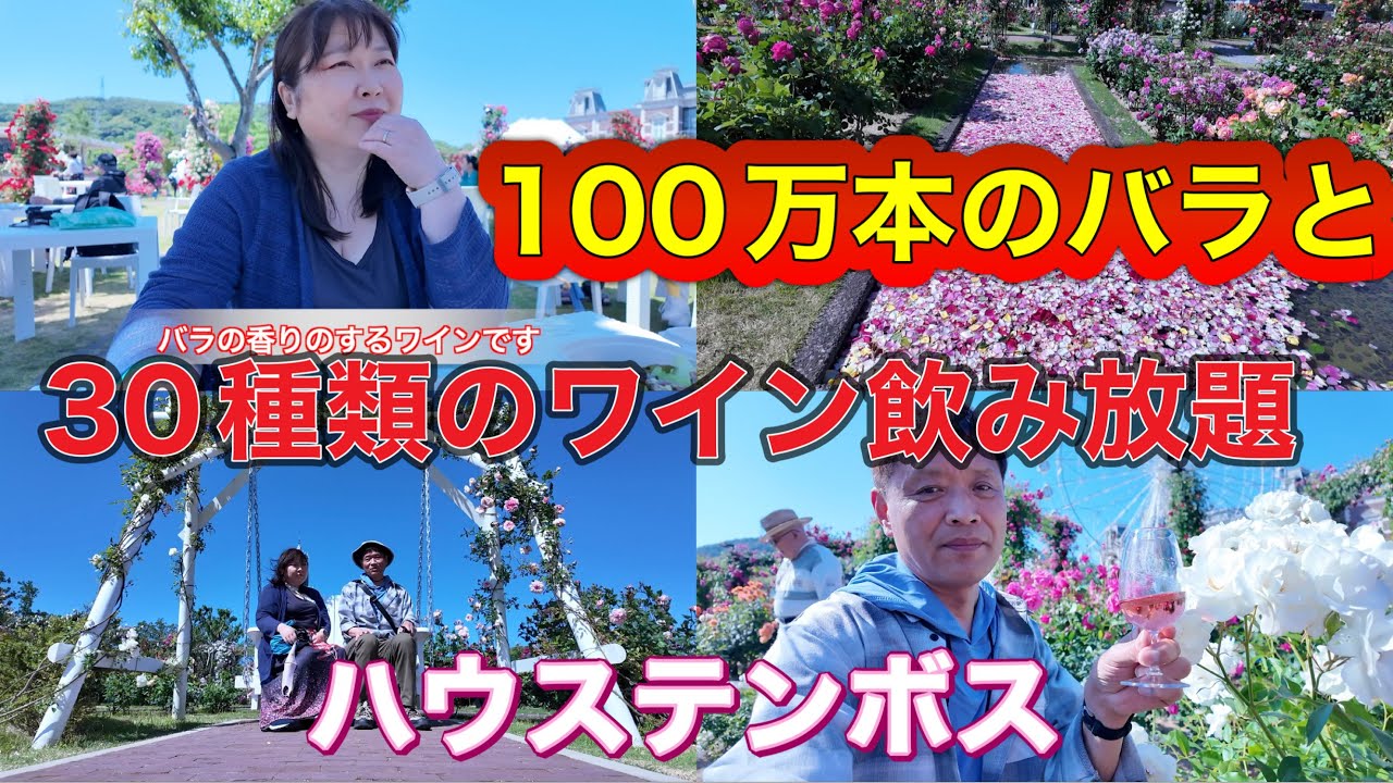 100万本バラと３０種類のワインを飲み放題　ハウステンボスバラ祭り　夫婦旅