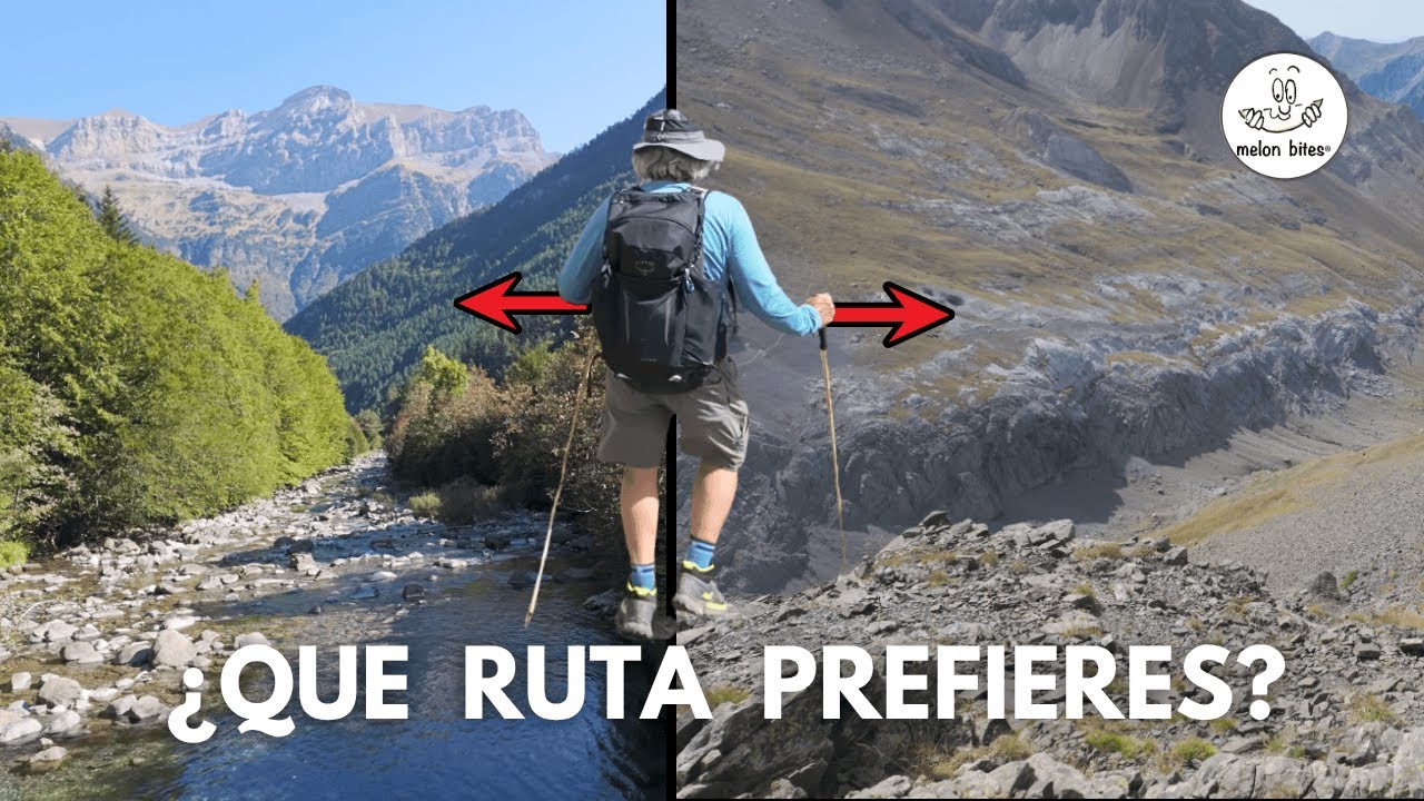 ¿Y si tuvieras que ELEGIR?  Rutas de BOSQUE o ALTA MONTAÑA